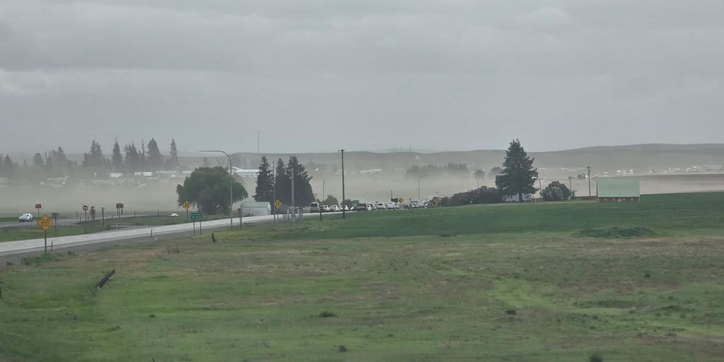 Dust storm causes several multi-car crashes, shuts down highway in eastern Washington