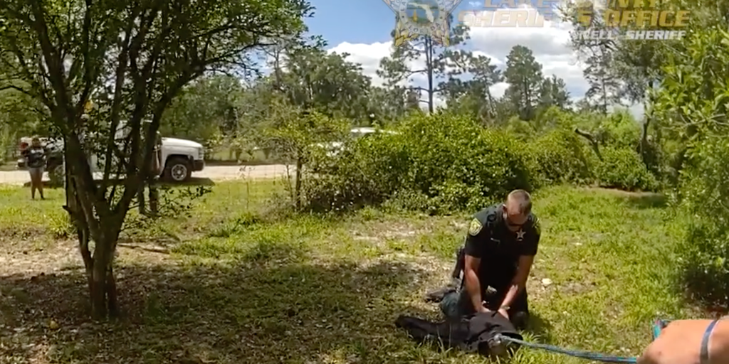 Watch as sheriff's deputies wrangle and capture trespassing alligator from Florida resident's yard