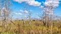 Beneficial rain to ease historic drought conditions across the Southeast this week - Fox News