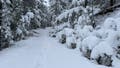 Significant May snowstorm blankets Colorado, Wyoming amid historic snow drought - Fox News