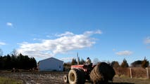 New Jersey declares state of emergency due to April freeze that killed roughly $300M in crops