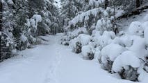 Significant May snowstorm blankets Colorado, Wyoming amid historic snow drought
