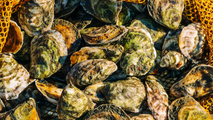 From space to sea: How satellite data is shaping Maine's oyster industry