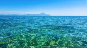 Atlantic Ocean turns tropical, turquoise blue ahead of peak tourism season on the East Coast