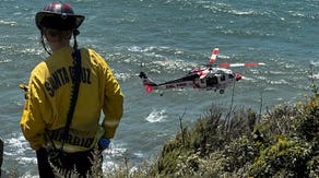 Driver dies after car crashes nearly 500 feet off a cliff onto California beach
