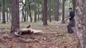 See it: Police wrangle massive 400-pound rolling alligator in North Carolina