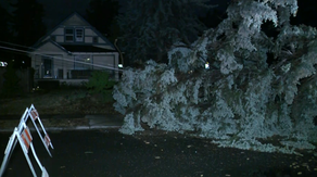 Rare Severe Thunderstorm Watch issued for parts of Northwest as storms, flash flooding target millions