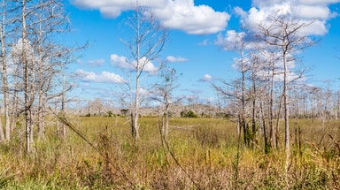 Beneficial rain to ease historic drought conditions across the Southeast this week