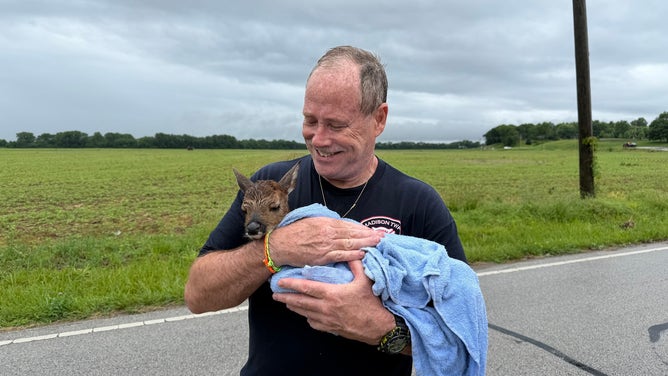 Sinclair holds the deer in a towel after coming out of the flooding.