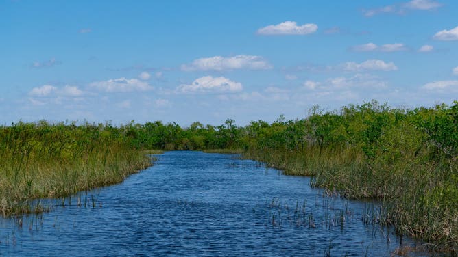 MIAMI, FL - APRIL 02: General views of the Everglades National Park on April 02, 2021 in Miami, Florida.