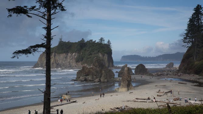 RUBY BEACH, WA - SEPTEMBER 12: The dramatic and popular beach is viewed from the trail on September 12, 2021, at Ruby Beach, Washington.