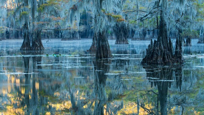 Caddo Lake in Texas
