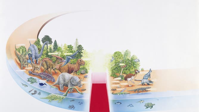 UNSPECIFIED - CIRCA 2003: The end of dinosaurs and animal species evolving on the Earth after their disappearance, illustration.