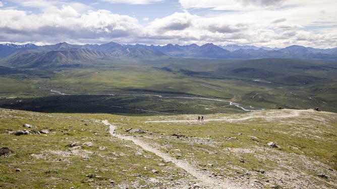 The Savage Alpine Trail in Denali National Park features sweeping views of the Alaska Range and Refuge Valley on July 16, 2024.