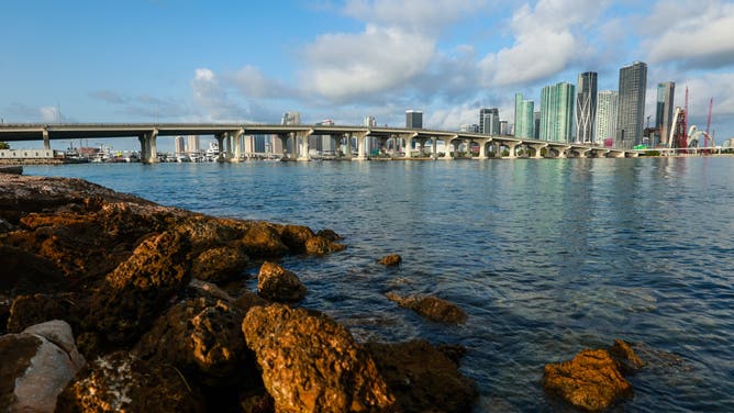 MIAMI, FLORIDA - JUNE 08: A view of Downtown Miami skyline on June 08, 2025 in Miami, Florida.