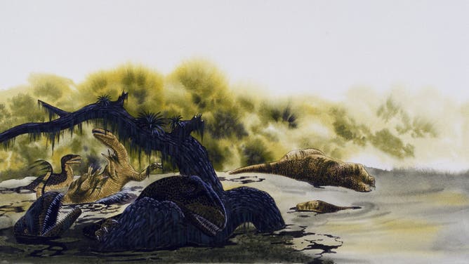 UNSPECIFIED - FEBRUARY 17: Specimens of Allosaurus dying