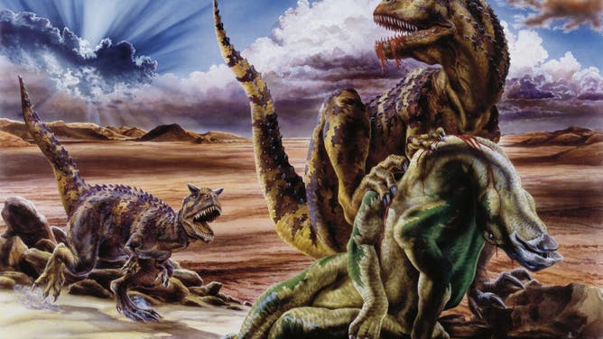 UNSPECIFIED - AUGUST 14: Illustration representing Carnotaurus fighting