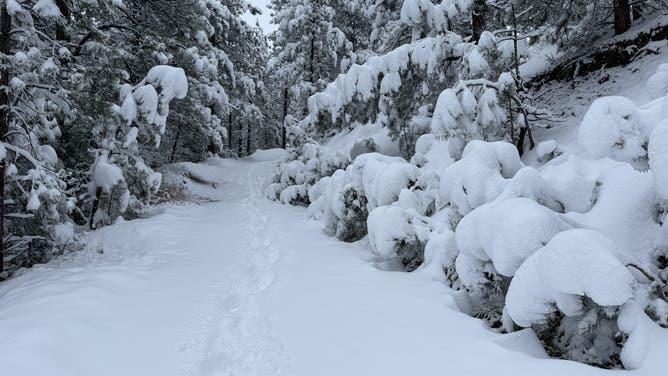Snow blankets Boulder, Colorado Wednesday.