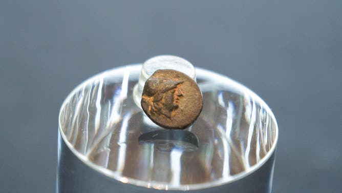 Presentation of the ancient Greek coin at PETRI Berlin.