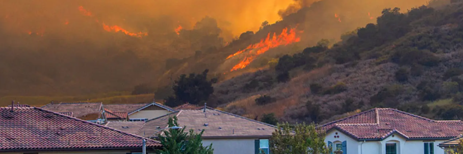 Thousands of acres charred across the US as new wildfires erupt, forcing evacuations and threatening homes