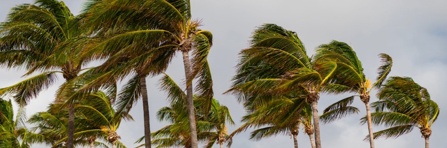 Tropical Storm Dolly forms, battling brewing Super El Niño's hostile conditions in the Atlantic