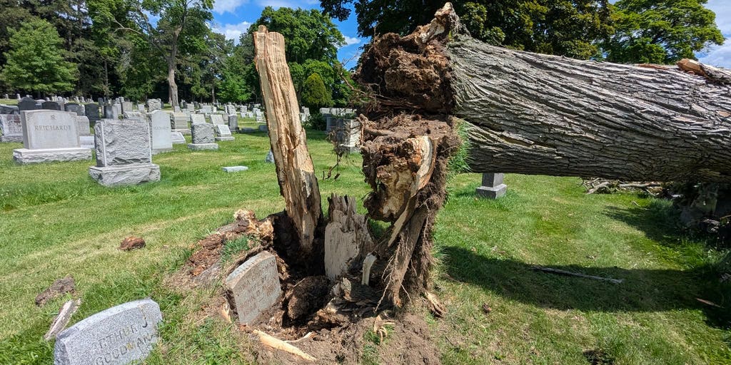 108-year-old gravestone emerges from underground after severe storm uproots tree from landscape