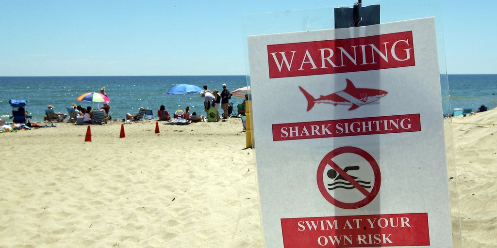 Beachgoers on alert as unprecedented shark sightings plague these popular beaches this summer