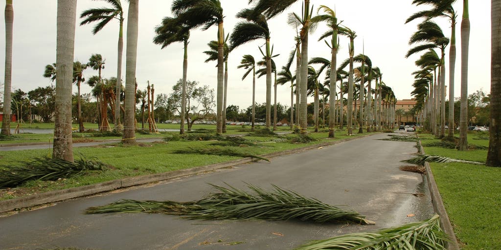 Track Tropical Storm Bertha: Live radar, forecast cone, flood threat, wind speed and warnings