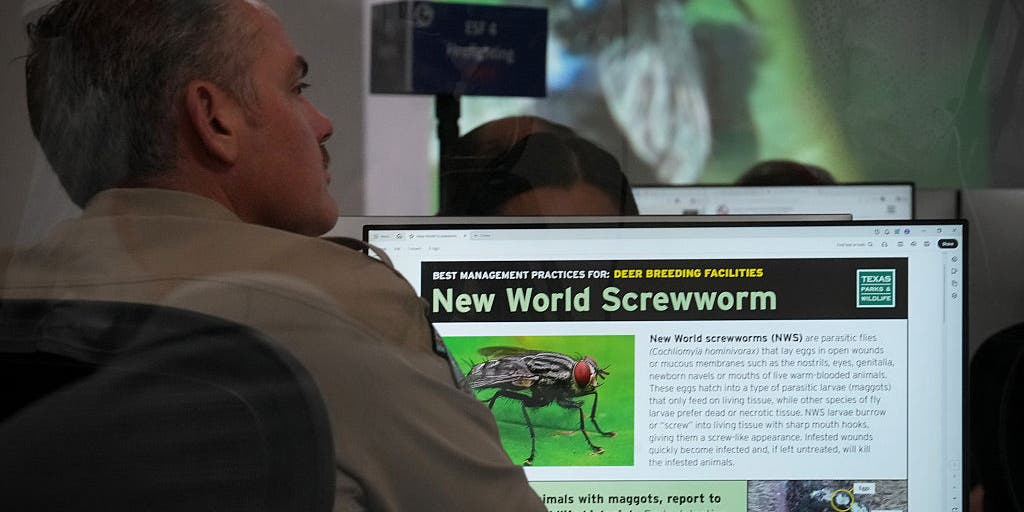 Texas activates State Of Emergency Operation Center after flesh-eating parasite breaches border