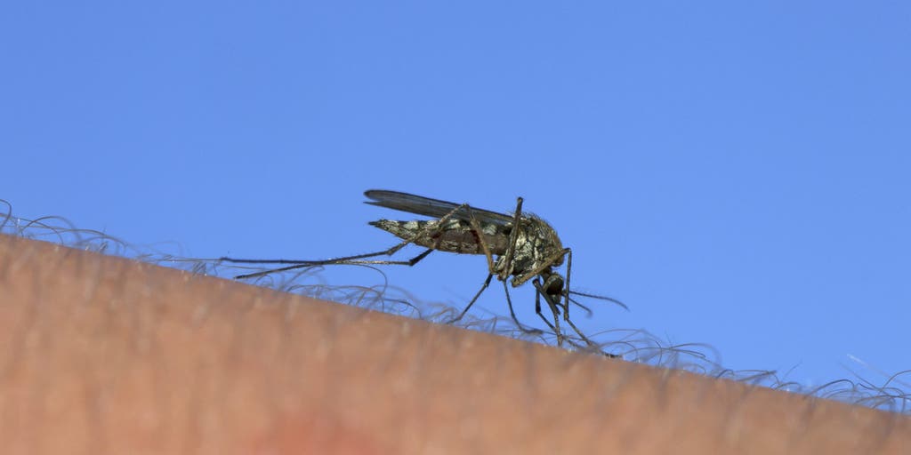 NASA looks to improve forecasting of dengue risks in Puerto Rico