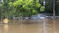 Road worker killed in Mississippi while assisting in storm cleanup efforts - Fox News