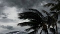Tropical trouble could be brewing closer to home with new area to watch designated in the Gulf - Fox News