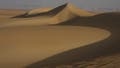 Saharan dust settles over hurricane breeding grounds. Here's what it means for hurricane season - Fox News