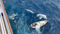 Watch: Solo mariner rescued after 30-foot waves, strong winds de-mast and disable vessel off Oregon coast - Fox News