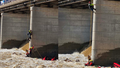 2 dead, 1 still missing after young girl saved in dramatic rescue operation at Missouri lake - Fox News