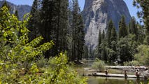 Dome Fire scorches hundreds of acres in Yosemite National Park, forcing popular trail closures