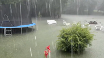 Tragic flooding: Floodwaters wipe out Mississippi woman's entire chicken flock