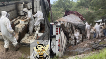 Beekeepers conduct frantic rescue after truck carrying 20+ million bees overturns in Texas