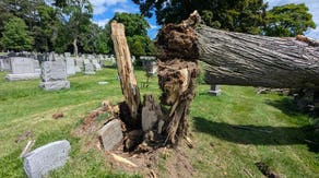 108-year-old gravestone emerges from underground after severe storm uproots tree from landscape