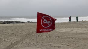 Elevated bacteria levels force beach closures and swimming advisories across the US