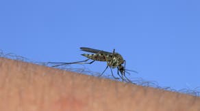 NASA looks to improve forecasting of dengue risks in Puerto Rico