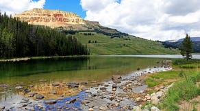 Skip the crowds: 10 national forests to explore this summer