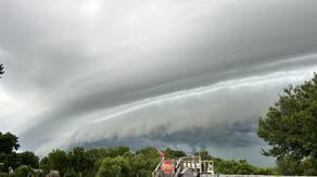 Man killed by falling tree in Des Moines, Iowa, during severe weather outbreak