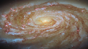 NASA's Hubble Space Telescope captures spiral galaxy harboring black hole