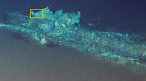 Deep-sea discovery uncovers one of the largest known whale graveyards on the floor of the Indian Ocean