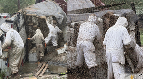 Beekeepers conduct frantic rescue after truck carrying 20+ million bees overturns in Texas