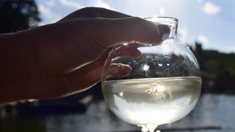 Invasive jellyfish with painful sting returns to beaches in US state - Fox News