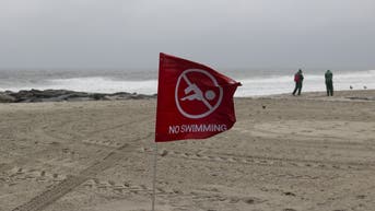 Beaches on alert in 5 states due to elevated bacteria levels - Fox News