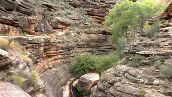 18-year-old hiker dies on popular trail at Grand Canyon National Park - Fox News