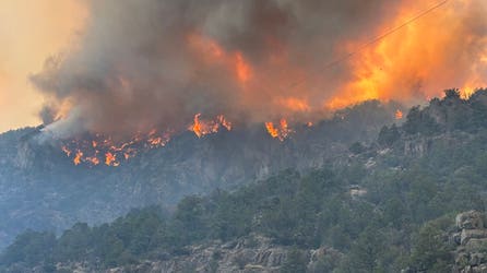 'Exceptionally rare' fire weather warning issued in Utah as massive Cottonwood Fire scorches 70,000 acres